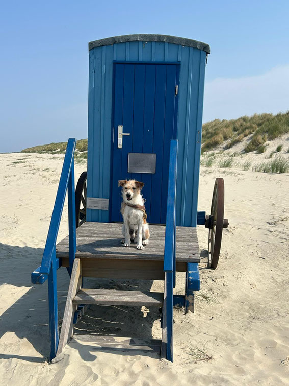 Urlaubsgrüße von Ilmo