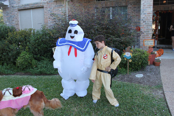 Brayden als Geist, Brennen als Ghostbuster und Buddy als Bananasplit! :D