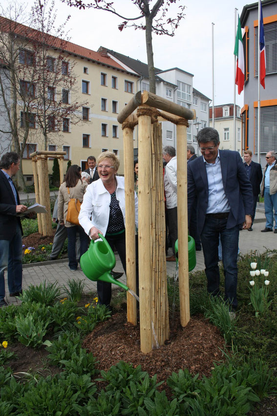 Als Symbol der Freundschaft pflanzte Bürgermeisterin und Delegationsleiterin Monika Budke gemeinsam mit den anderen Partnerschaftsvertretern Bäume vor dem Hauptgebäude der Merseburger Stadtverwaltung.