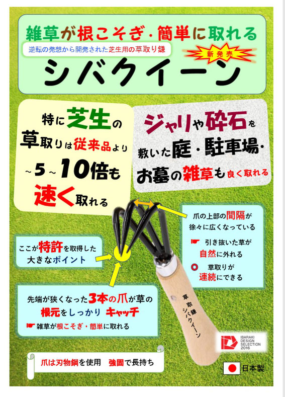 シバクイーン専用のホームページができました パッションフルーツの飛田 シバクイーン専用のホームページができました パッションフルーツの飛田