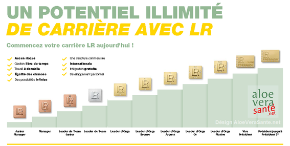 Votre plan de rémunération :  Un revenu qui progresse chaque année bien plus que la petite augmentation que vous donne votre patron ! Vous pouvez doubler voir tripler vos revenus chaque année.