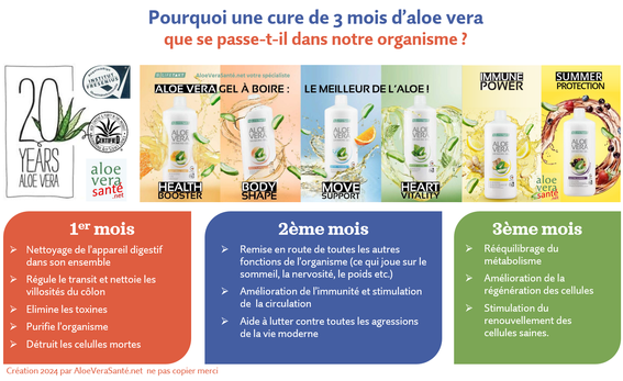 AloeVeraSante | on recommande de consommer l’aloe vera durant trois mois au minimum voir six mois la première fois, et de façon régulière et quotidienne - Aloe vera sante et LR Health and Beauty