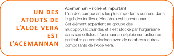  Au cours des dernières décennies, des chercheurs isolèrent de nombreuses  molécules actives dans l’Aloe vera, qui est spécialement riche en acemannan, qui opère en intéraction avec le système immunitaire : il augmente la production de macrophages, AVS