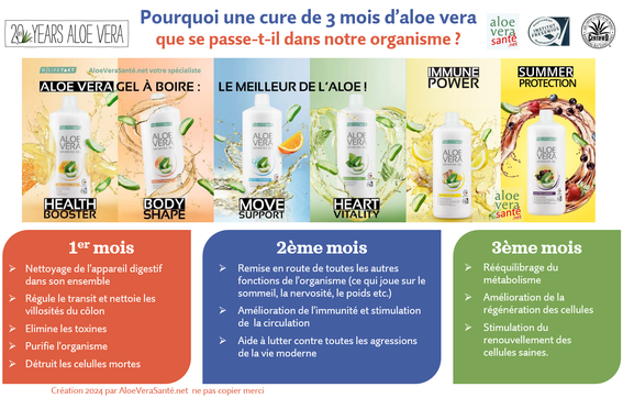 On recommande de consommer l’aloe vera durant trois mois au minimum voir six mois la première fois, et de façon régulière et quotidienne - Aloe vera sante et LR Health and Beauty | AloeVeraSante | 