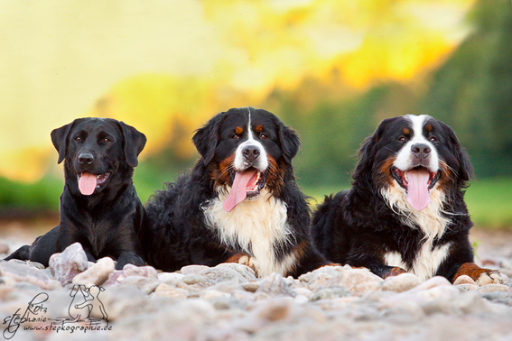 Fotoshooting mit Freundin Ronja