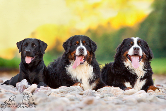 Fotoshooting mit Freundin Ronja 