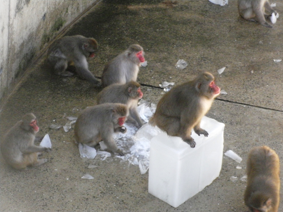 福岡市動物園園内