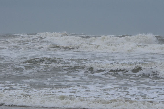 Plage de Canet, le 14 février, par vent marin 