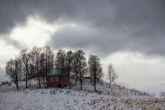 Vesterålen,Hurtigruten,Panorama,Norwegen,ms,Midnatsol, Postschiff,Winter,November,Tipps