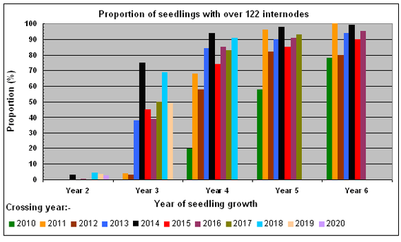 Graph of proportion of seedlings attaining 122 internodes after successive years of growth