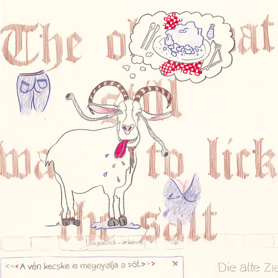 The old goat still wants to lick the salt 2014 Pencil and Colored Pencil on Hahnemühle 30x30cm © Cindy Leitner