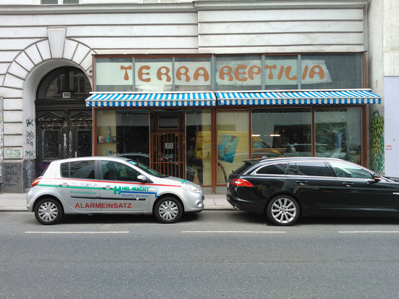 Terra Reptilia Shop, Vienna 1070, Burggasse 100.Photos: Hanna Schimek