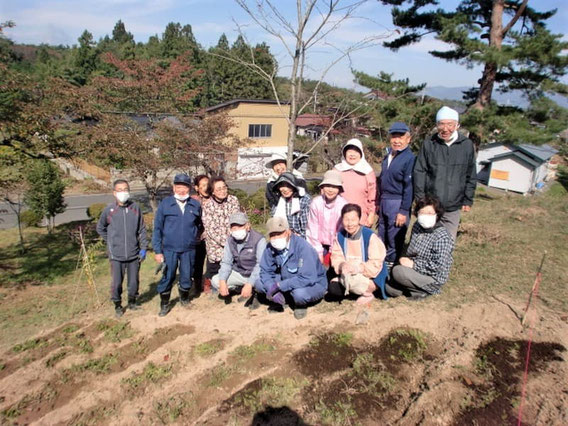 水口公園に芝桜を植え替えしたときの様子(令和２年)