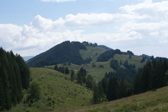 Die Gasser Alm, im Hintergrund der Punkt 1626m