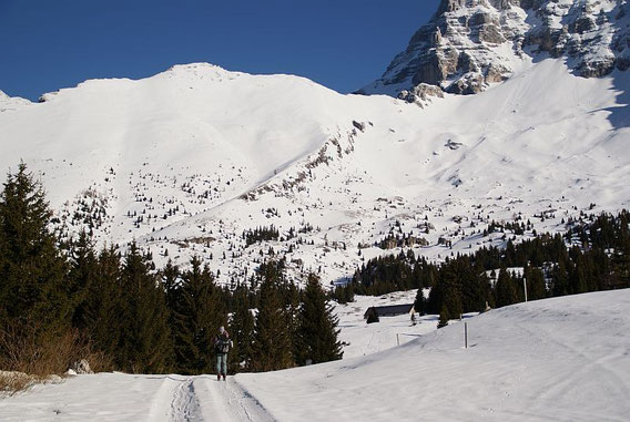 Blick von der Pecol Alm hinauf zum Curtissons