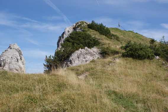 Den Gipfel vor Augen
