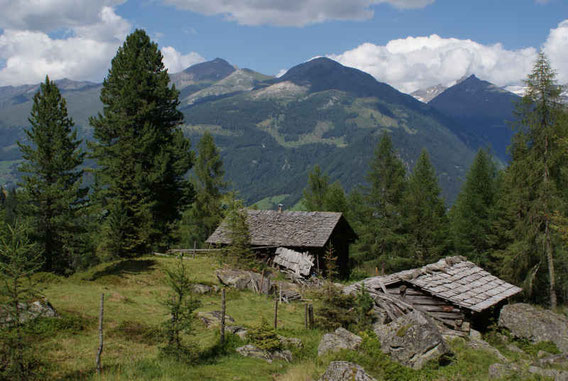 Die Gartlalm