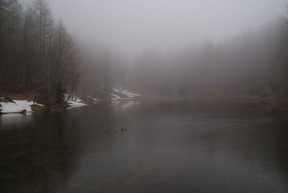 Il Laghetto