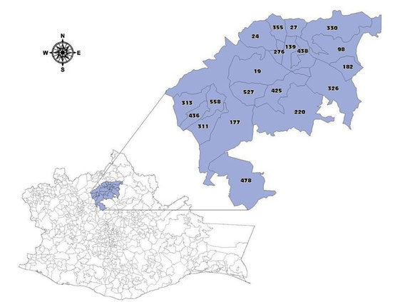 región cuicateca