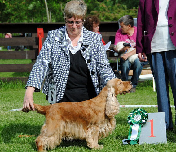 Clara gewinnt das BOS auf der Klubschau Siegen 2013