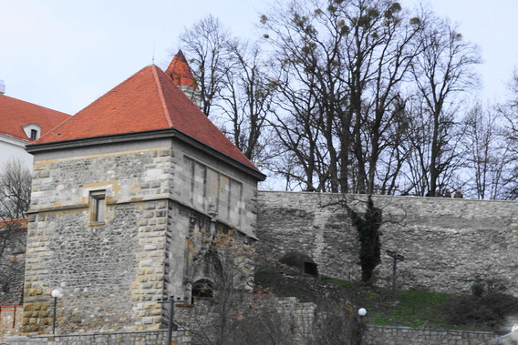 ブラチスラバ城の石垣３