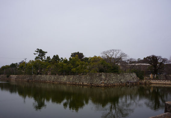 南東から見る岡山城の内堀と石垣