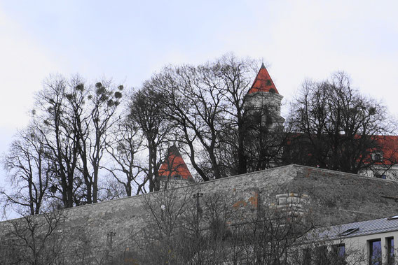 ブラチスラバ城の石垣１