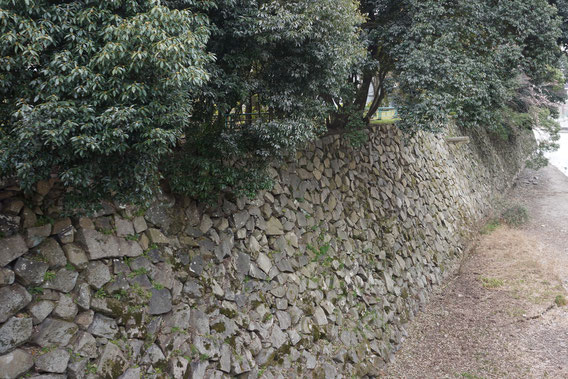 西ノ丸の水堀と石垣