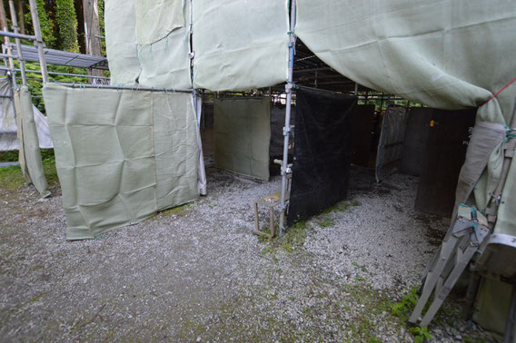 Field_3