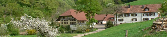 Bild vom Bromhof
