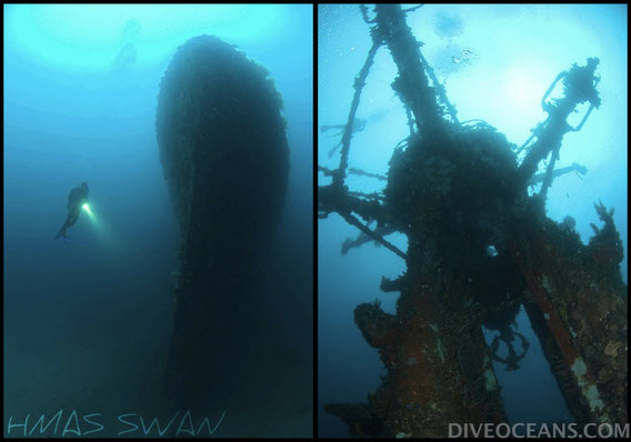 Dunsborough Swan Wreck Day Tour