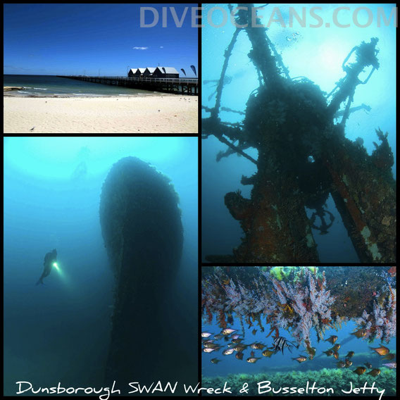 Busselton and Dunsborough Tour