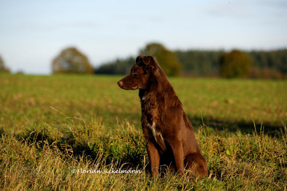 Hazel mit 9 Monaten...sehr ausdrucksstark!!