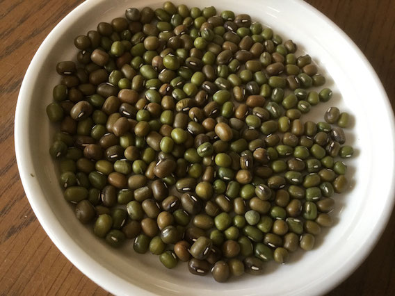 緑豆は数ミリの大きさ。