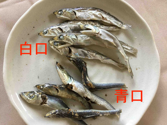 青口煮干しと白口煮干し