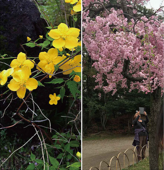 widower s blog annyob1 jimdoページ jimdo