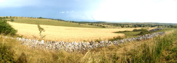 Paysage du Causse en Lozère