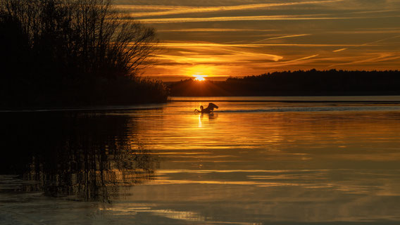 Sonnenuntergang am Rothsee