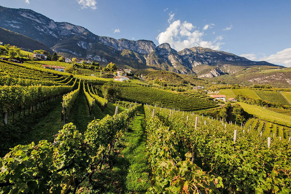 ProWein: Weine und Winzer aus der ganzen Welt in Düsseldorf 