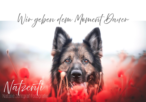 nataliezentgraffotografies Webseite!