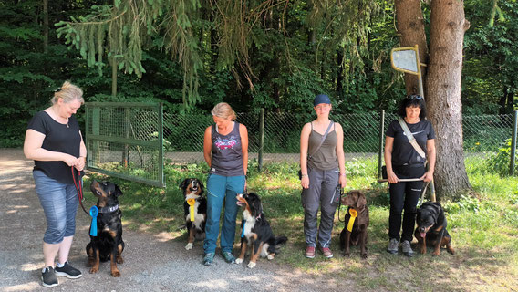 Vier Frauen stehen mit jeweils einem Hund an der Leine auf einem Weg vor einem Zaun und Bäumen