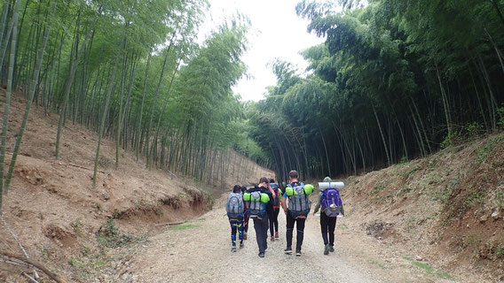 Our students navigating the bamboo forest of the Ninghai Trail System.
