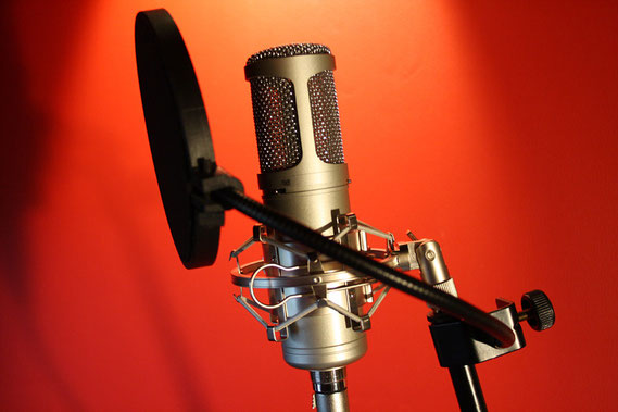 DeisterStudio Mikrofon