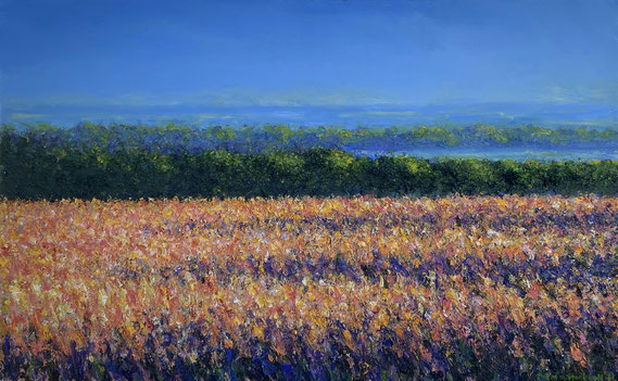 John Stockwell, "Quilt," 2021, oil on canvas, 31.5 x 51 inches - SOLD