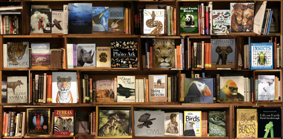 MaxSteven Grossman, "Animals," metallic photograph print on acrylic mount, 37 x 75 inches, contact for price