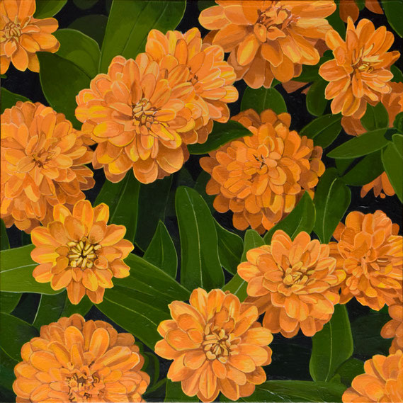 Andrew Woodward, "Orange Zinnias," 2022, acrylic on panel, 12 x 12 inches, $2,400
