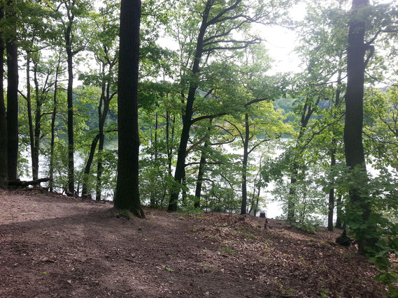 Blick vom Waldweg über den Schlachtensee