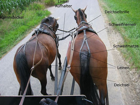 2 Pferde einen Wagen Ziehen - Foto : Andreas Zottmann - Übertragen aus de.wikipedia nach Commons durch Ludmiła Pilecka mithilfe des CommonsHelper.