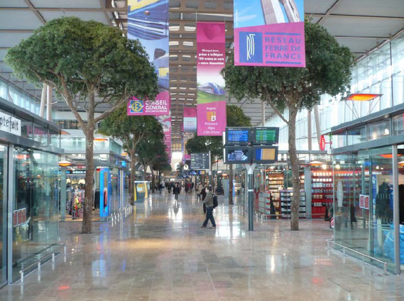 arbre dans un centre commercial Maroc