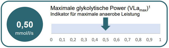 Vlamax-Wert